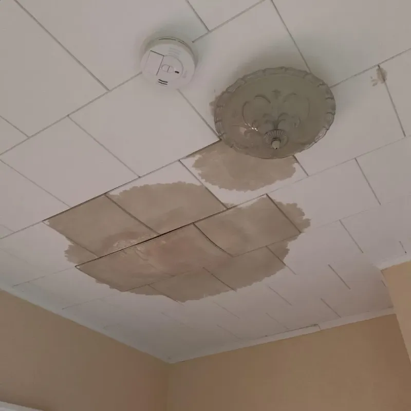 Ceiling Water Damage Repair in Jonesport, ME